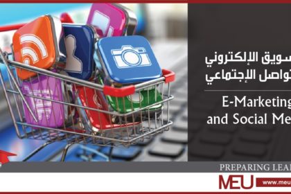 thumbnail_Bachelor of E-Marketing-02